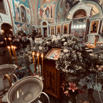 WhatsApp Image 2026-01-23 at 07.27.57 (10)