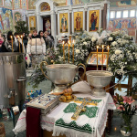 WhatsApp Image 2026-01-23 at 07.31.25 (4)