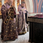 WhatsApp Image 2026-04-01 at 12.05.16 (4)