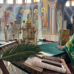 WhatsApp Image 2026-04-08 at 18.43.04 (24)