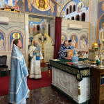 WhatsApp Image 2026-04-10 at 08.33.53 (2)